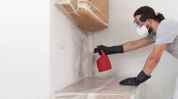 Professional Black Mold Remediation technician working in Bay Shore, NY